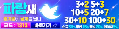 안전놀이터 파랑새