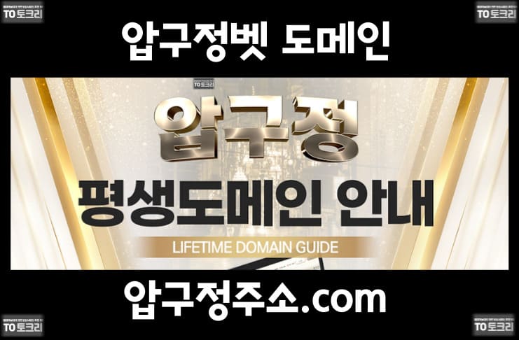 압구정벳 도메인